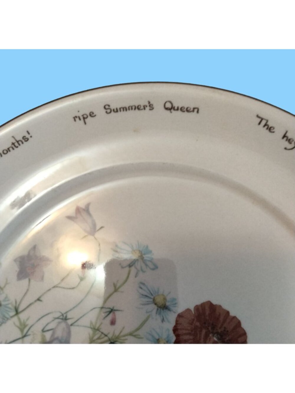 Noritake of Ireland Country Diary of An Edwardian - Picture 6 of 14